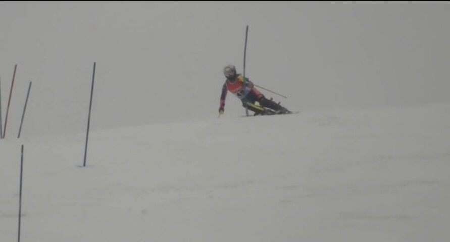 Screenshot_20260404_174119_LINE