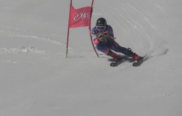 Screenshot_20260406_173847_Gallery