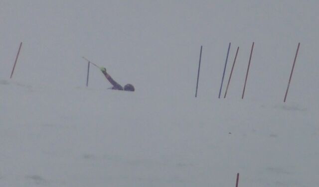 Screenshot_20260404_163804_Gallery