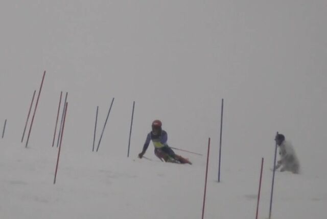 Screenshot_20260404_163658_LINE