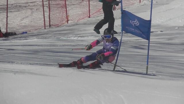 Screenshot_20260406_173932_Gallery