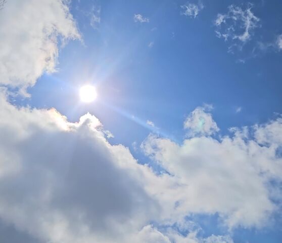 Screenshot_20260412_232710_Gallery