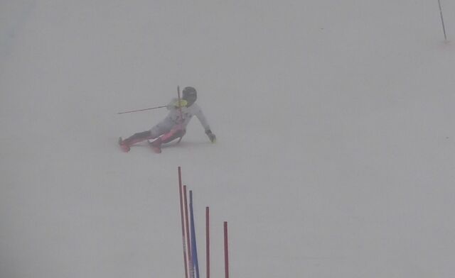 Screenshot_20260411_145238_Gallery