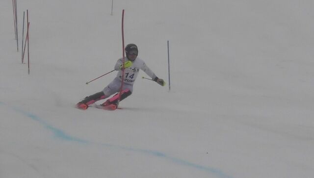 Screenshot_20260411_145306_Gallery