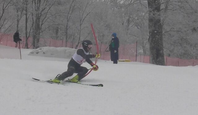 Screenshot_20260408_200055_Gallery