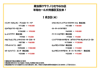 爬虫類クラブJひたちなか店年始セール特売尾_03