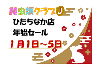 年始セールPOP_01