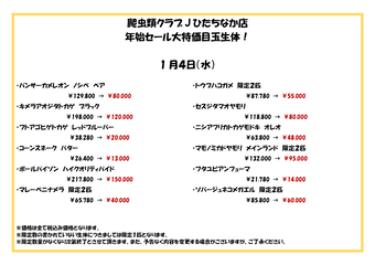 爬虫類クラブJひたちなか店年始セール特売尾_04
