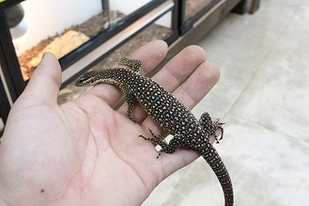 IMG_7972
