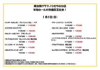 爬虫類クラブJひたちなか店年始セール特売尾_01