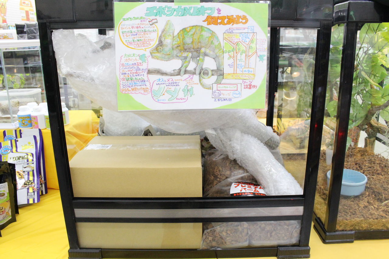 NEW！飼育セット紹介 : 爬虫類倶楽部 J ジョイフル本田