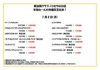 爬虫類クラブJひたちなか店年始セール特売尾_02
