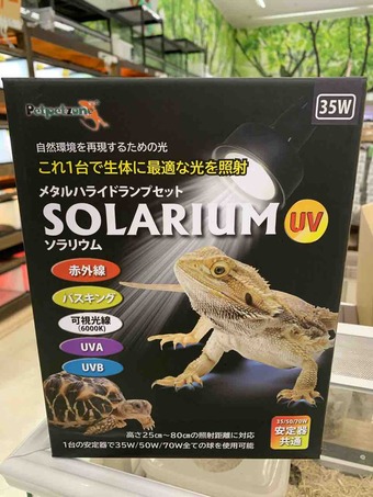 新商品紹介!ソラリウム : 爬虫類倶楽部 J ジョイフル本田 販売済み ゼンスイ ソラリウム 35w ライトセット 爬虫類/両生類用品