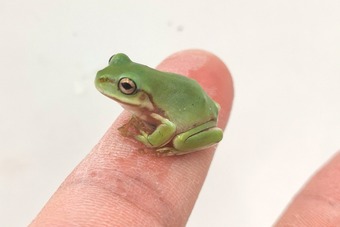 IMG_20230111_121143