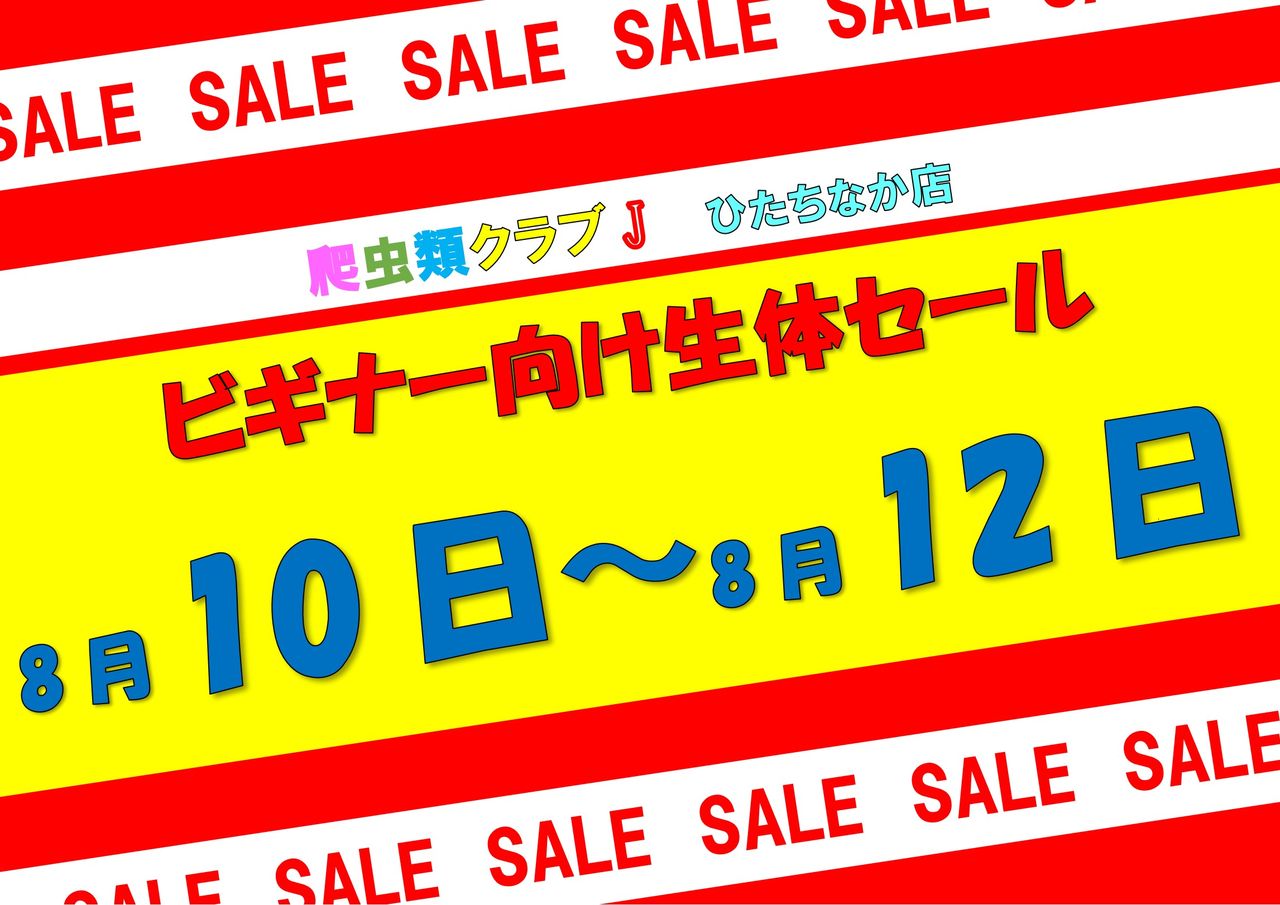 三連休ゲリラセール！ : 爬虫類倶楽部 J ジョイフル本田 ひたちなか店