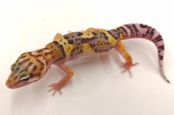 IMG_20230106_130922