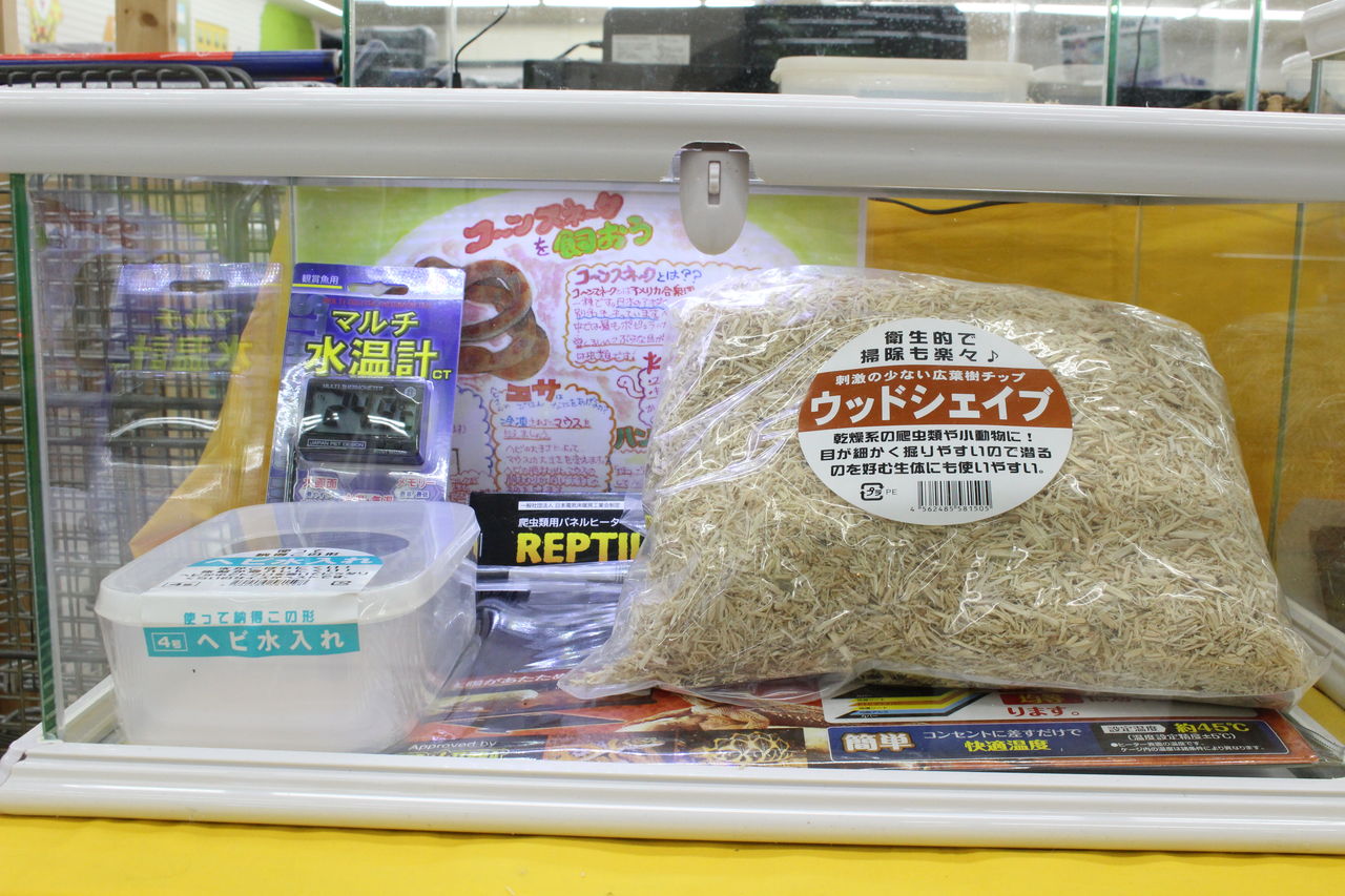 NEW！飼育セット紹介 : 爬虫類倶楽部 J ジョイフル本田