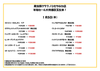 爬虫類クラブJひたちなか店年始セール特売尾_05