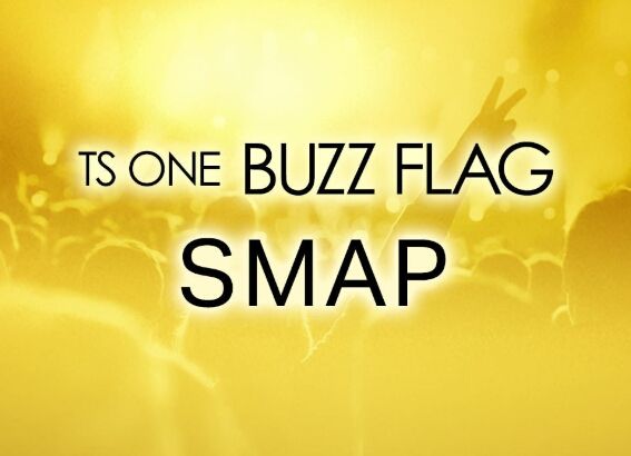 TS ONE BUZZ FLAG SMAP