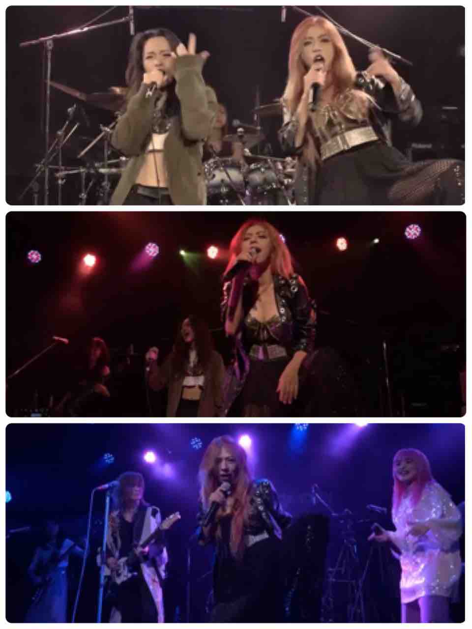 ガチャネモテラ Secret Room ガチャネモテラ Secret Room