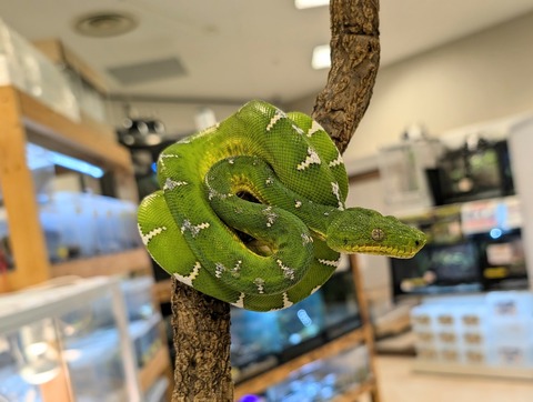 PXL_20241224_110301897~2