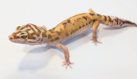 PXL_20250919_120219353~2