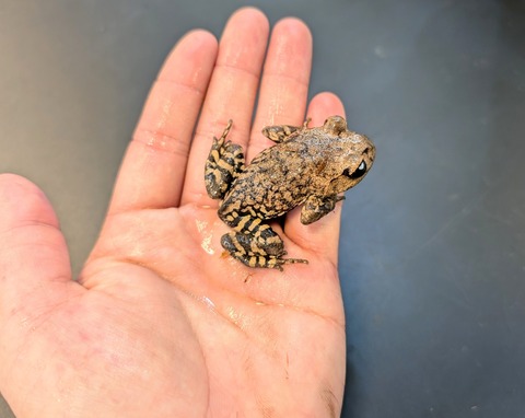 PXL_20250106_103017359~2