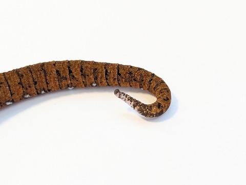 PXL_20250715_100933754~2