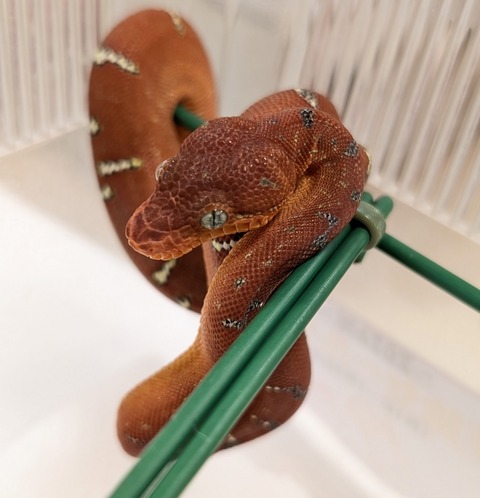 PXL_20260101_110043482~2