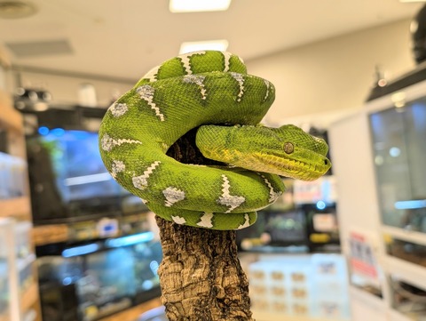 PXL_20241224_105835060~2