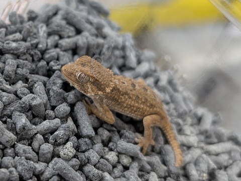 PXL_20250321_102028509~2