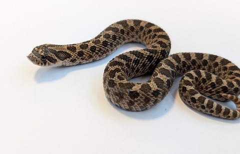 PXL_20251204_082605730~3