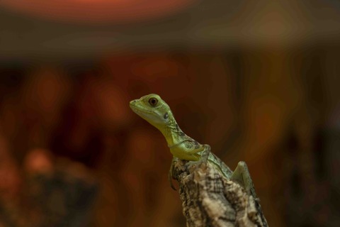 20220715-_DSC0678