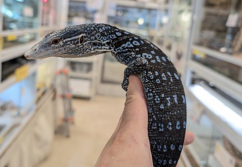 PXL_20260102_022559178~2