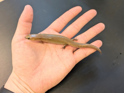 PXL_20241228_093740141~2