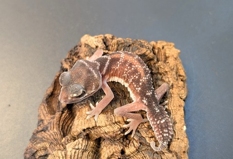 PXL_20250106_100631787~2