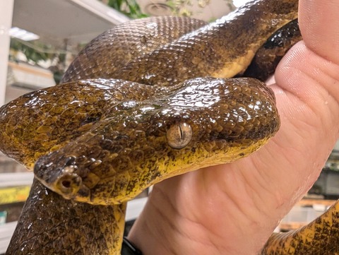 PXL_20250107_113713530~2