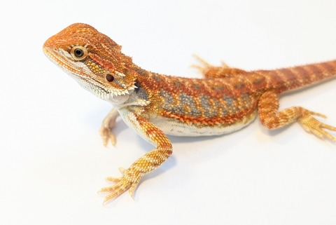 PXL_20250902_101751055~2