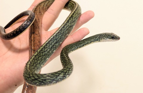 PXL_20251114_092854221~2