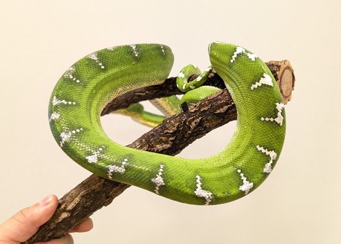 PXL_20250920_112141557~2