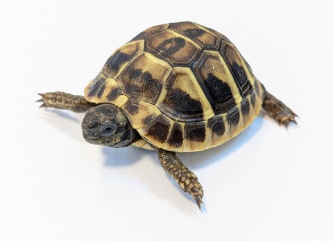 PXL_20250318_091315669~2