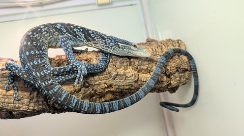 PXL_20251004_092342737~2