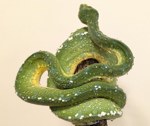 PXL_20251120_071139161~2