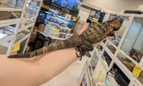 PXL_20260122_091644796~2