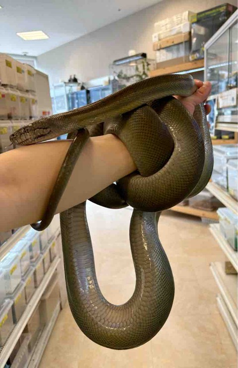 FullSizeRender