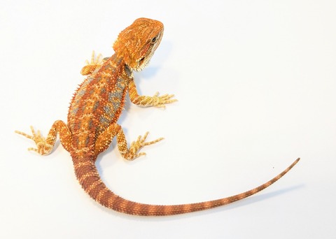 PXL_20250902_101725019~2