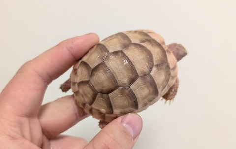 PXL_20260103_101252711~2