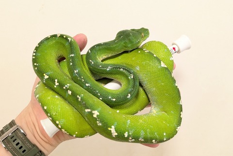 PXL_20260101_110739353~2