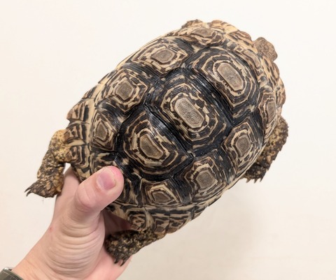 PXL_20250903_115147507~2