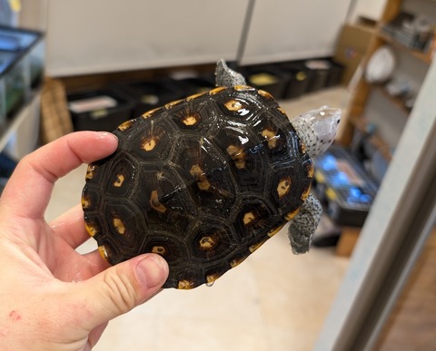 PXL_20260101_101957019~2